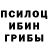 Псилоцибиновые грибы MAGIC MUSHROOMS Vitalina Andriuchyk