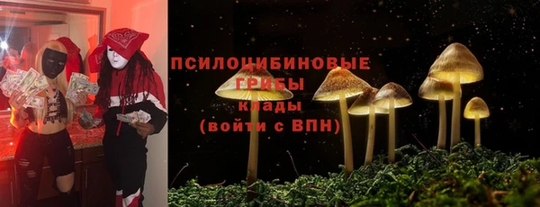 молекула духа Алзамай
