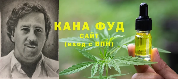 молекула духа Алзамай