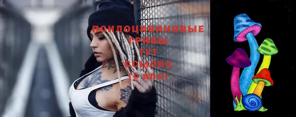 PSILOCYBIN Алексин