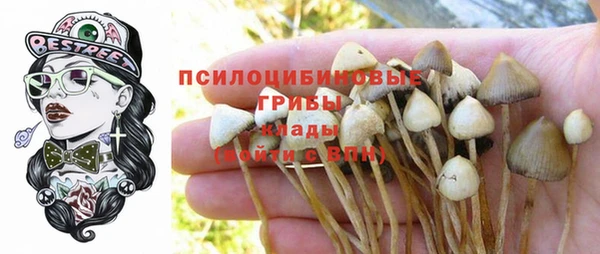 молекула духа Алзамай