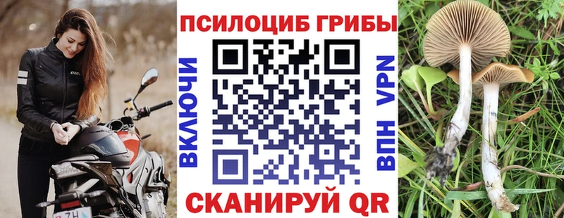 Галлюциногенные грибы мицелий Сасово